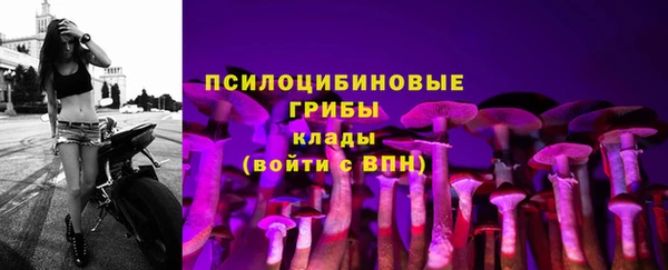 2c-b Арсеньев