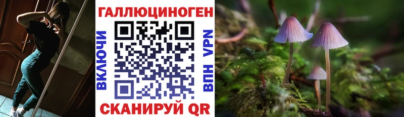 где найти Билибино гидра маркетплейс Псилоцибиновые грибы Psilocybe